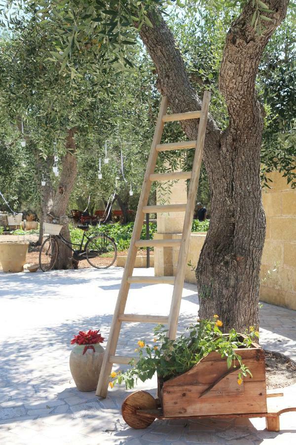 Il Giardino Degli Aromi Bed & Breakfast Cerfignano Exterior foto
